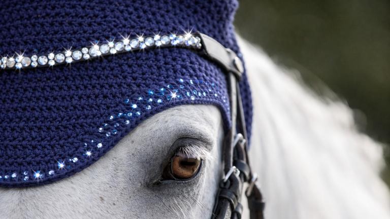 637865709_1663932881458420_1988332406779382054_n Modell einer Fliegenhaube in Nahaufnahme.