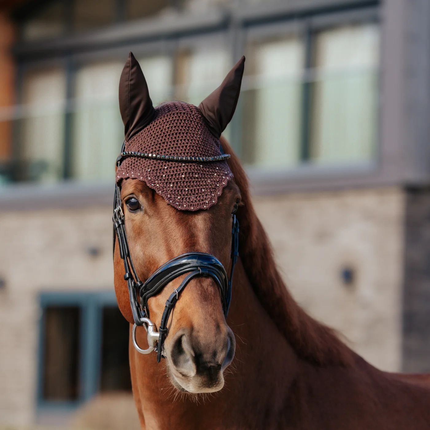 fliegenhaube-modell-standard Unser Modell Standard präsentiert auf einem Pferdekopf.