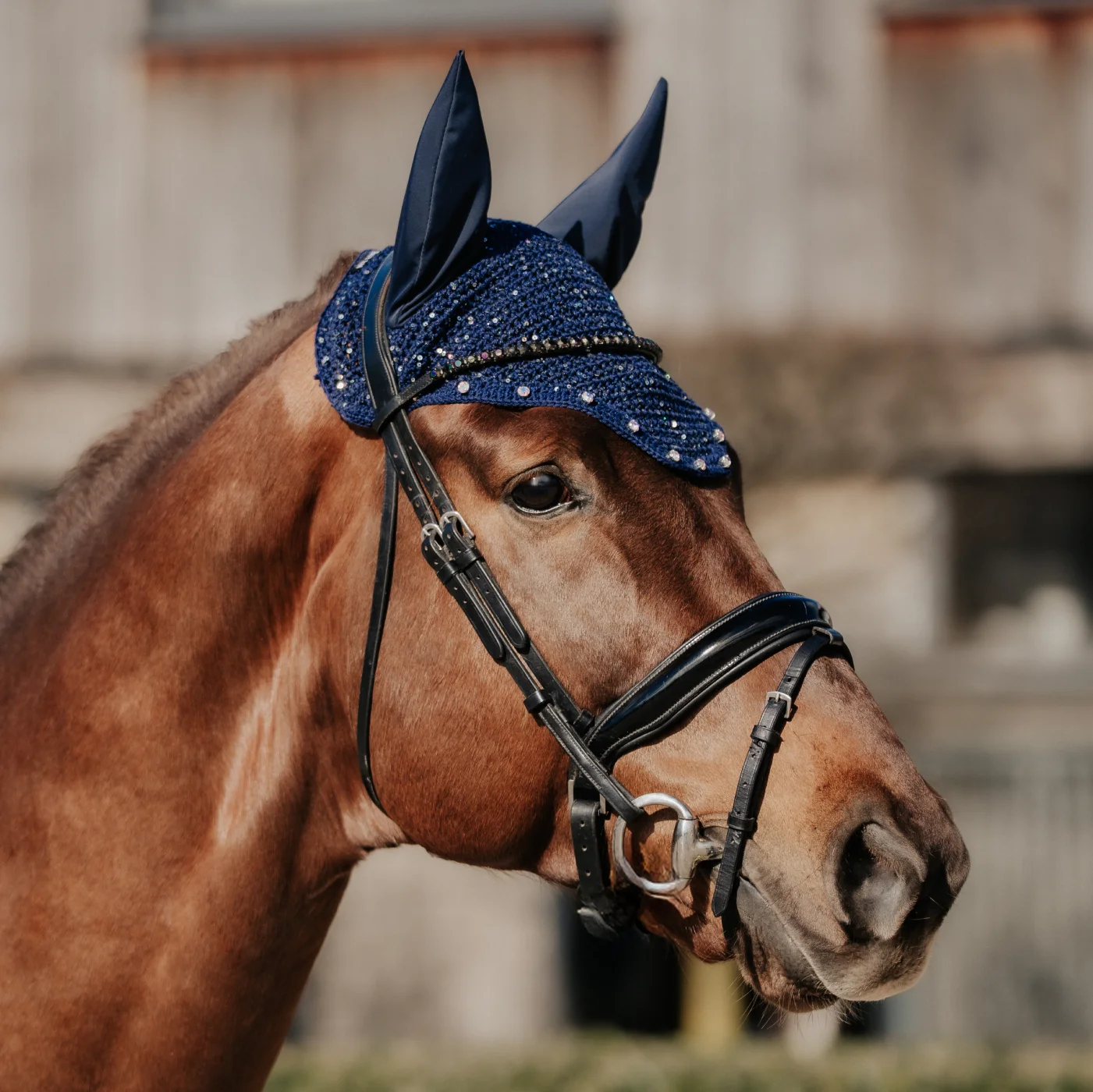 fliegenhaube-modell-Exklusiv Unser Modell Exklusiv präsentiert auf einem Pferdekopf.