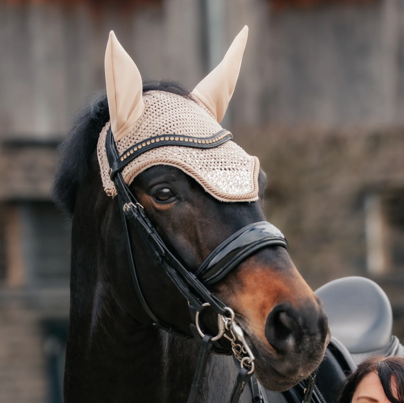 fliegenhaube-modell-diamond Unser Modell Diamond präsentiert auf einem Pferdekopf.