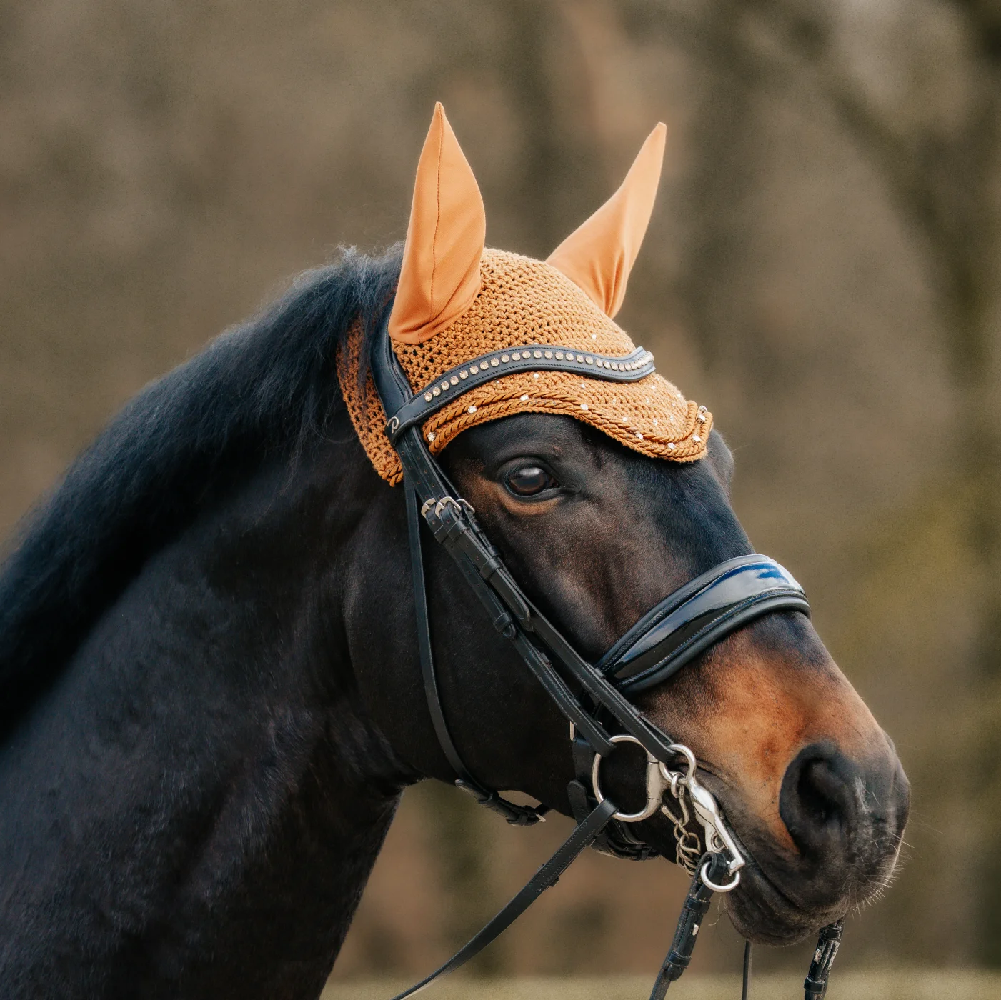 fliegenhaube-modell-premium Unser Modell Premium präsentiert auf einem Pferdekopf.