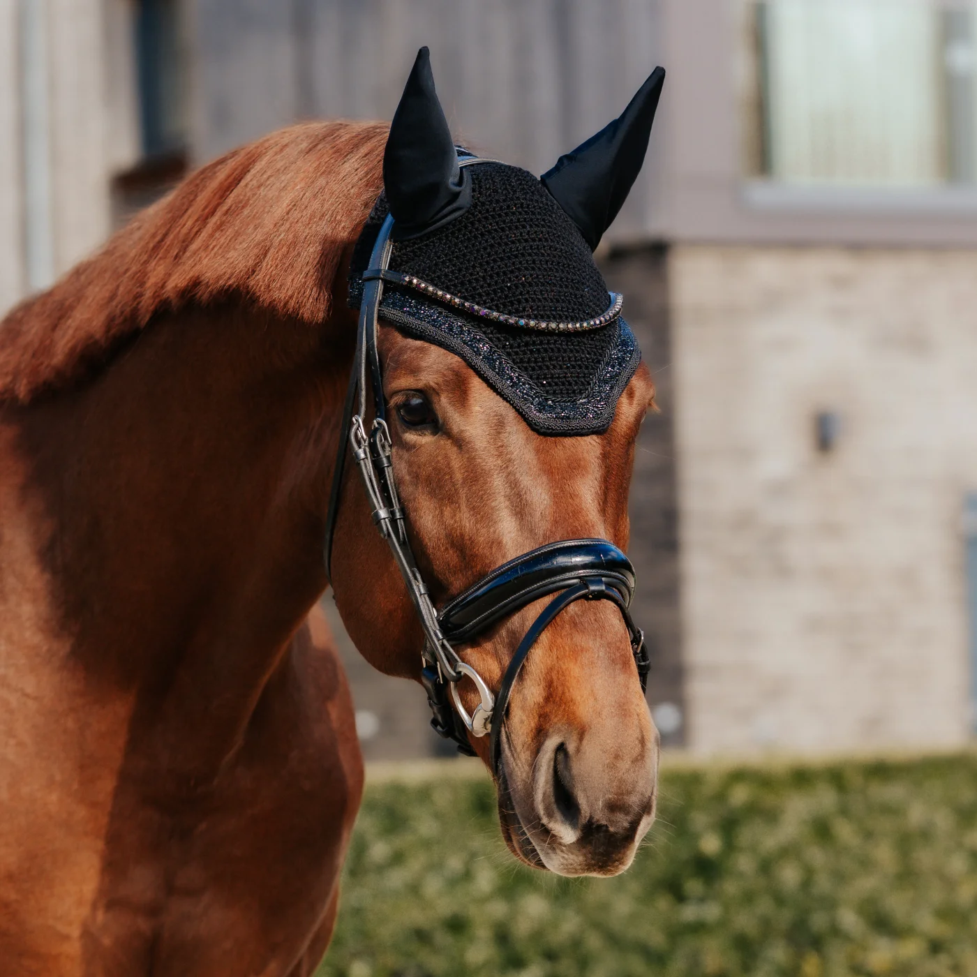 fliegenhaube-modell-standard-glitterbodüre Unser Modell Standard mit Glitterbordüre präsentiert auf einem Pferdekopf.