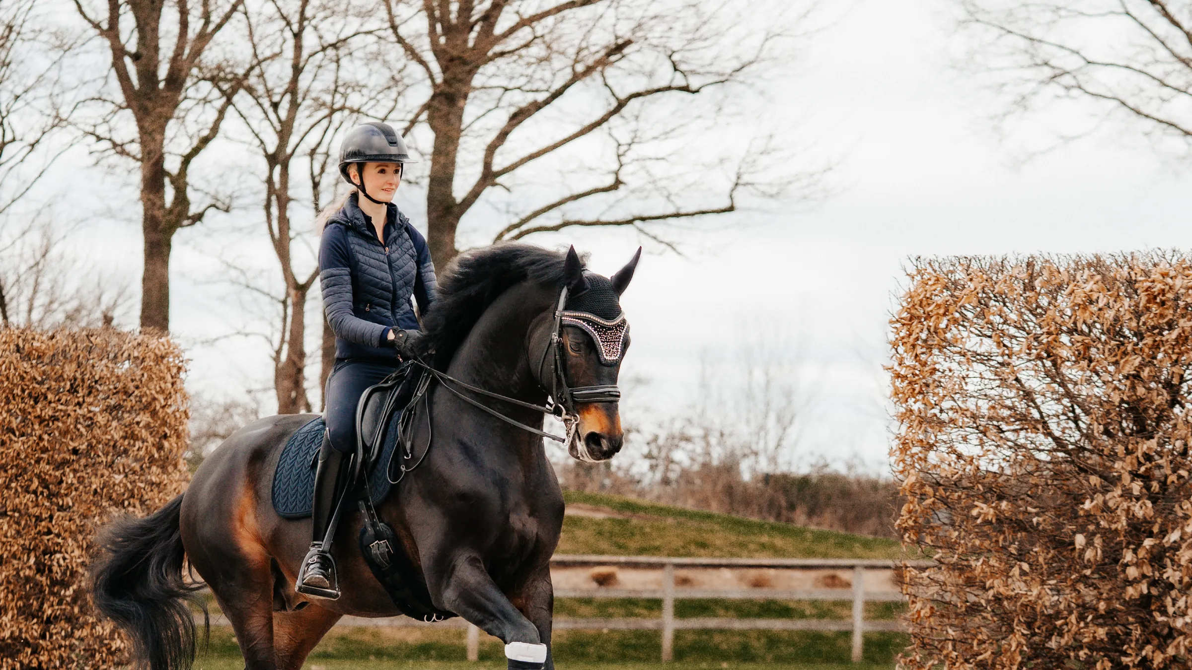 Fliegenhaube von MK Fliegenhauben auf einem Pferd.